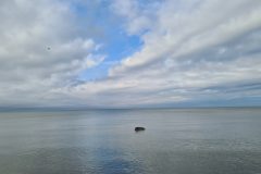 20221005_151934-scaled