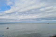20221005_151936-scaled